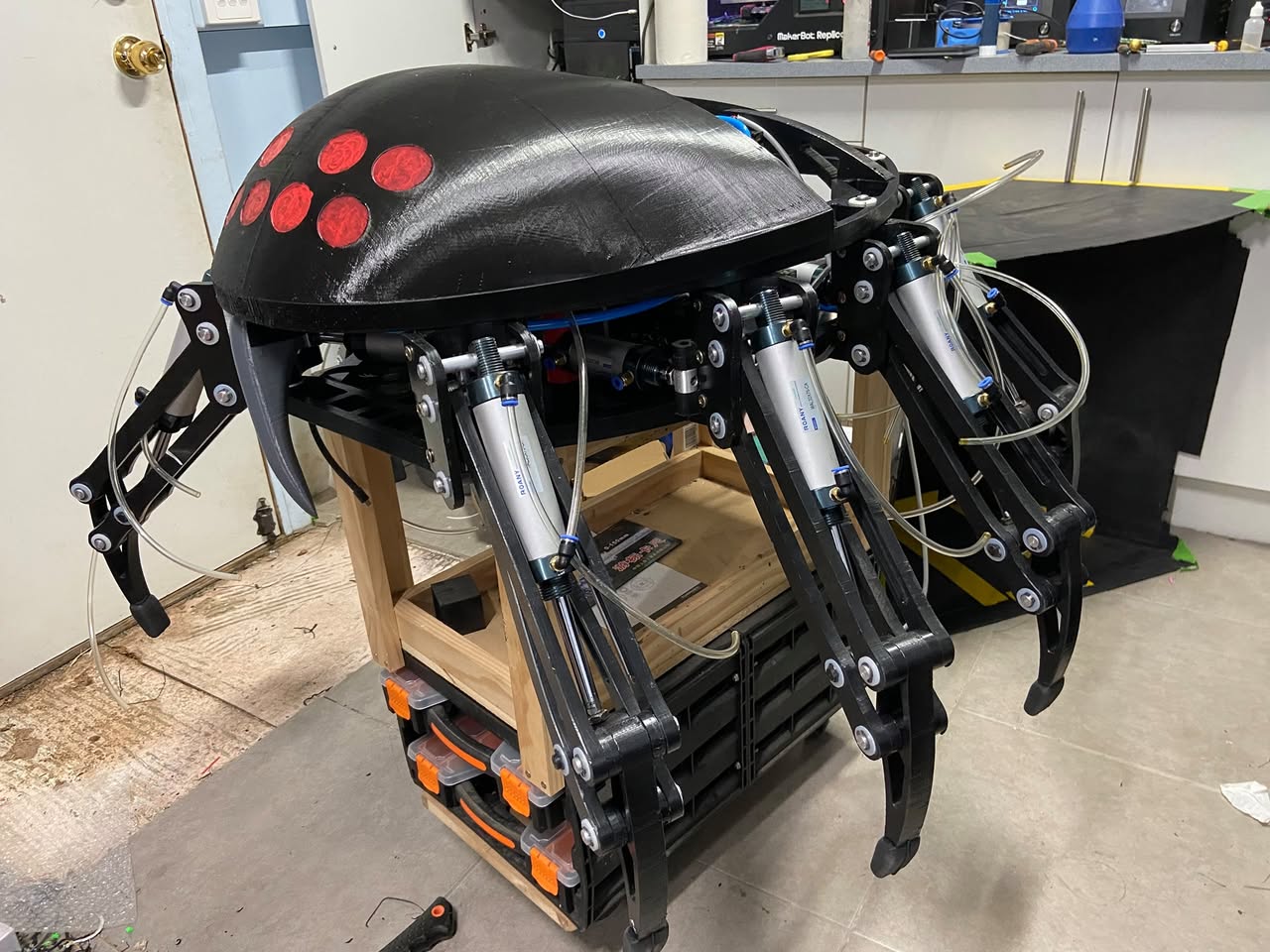Redback progress photo from October 2021.