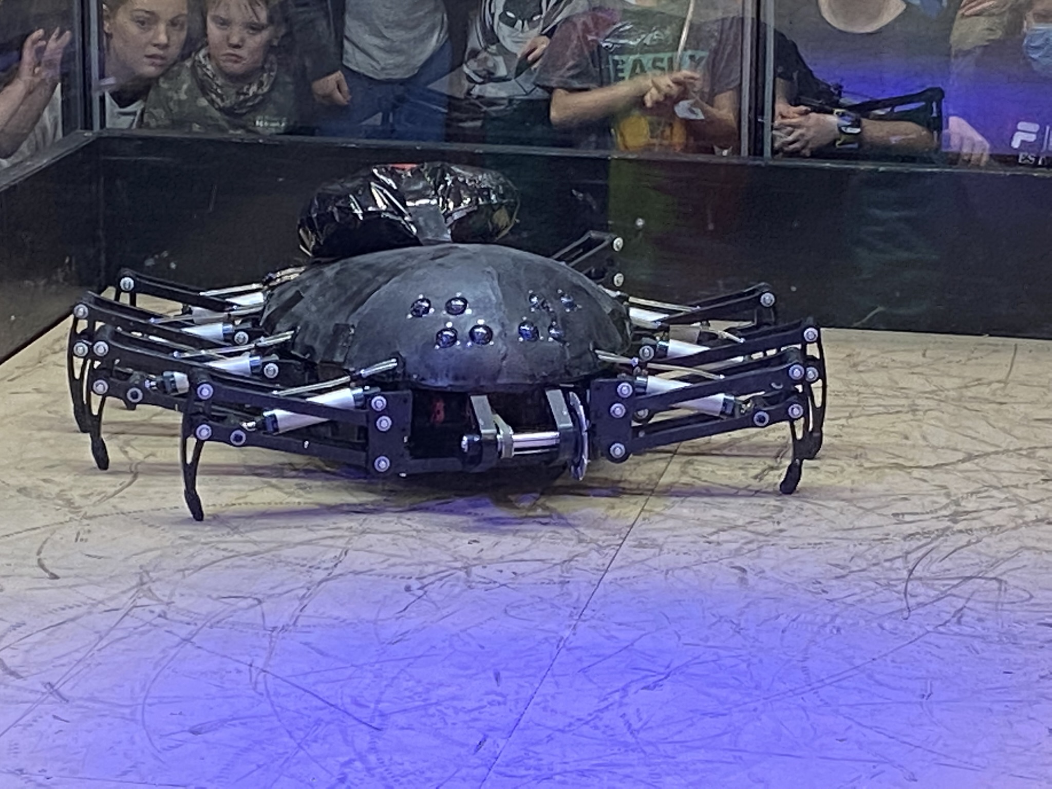 Redback ready in the pits.