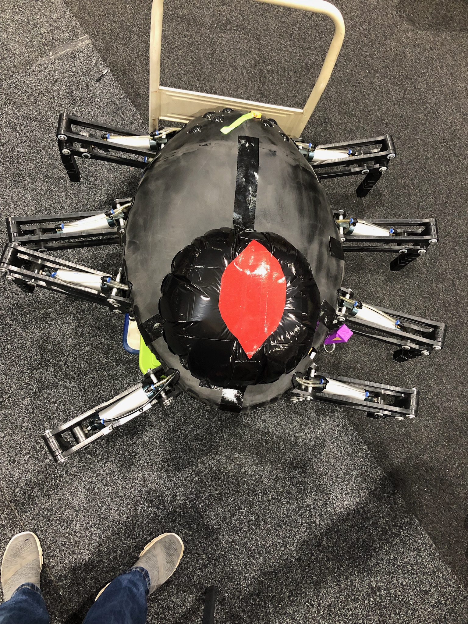 Robot Havoc 5 Day 2 action.